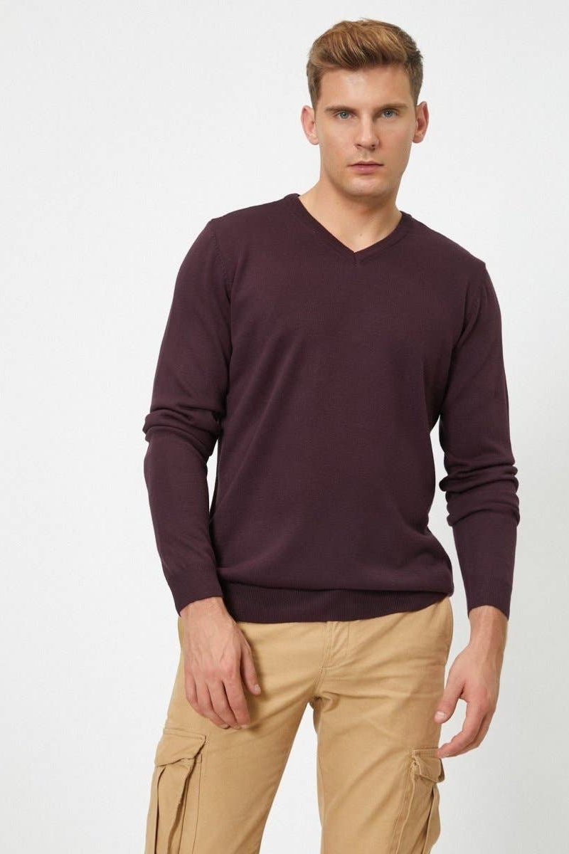 Baron V Neck Sweater in Maroon