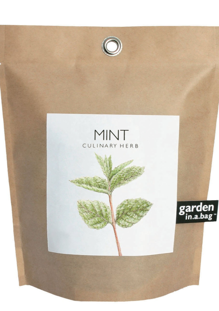 Garden-in-a-bag Mint