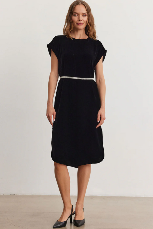 Harper Silk Dress by Velvet